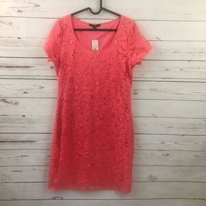 Tiana B.‎ NWT lace dress size M